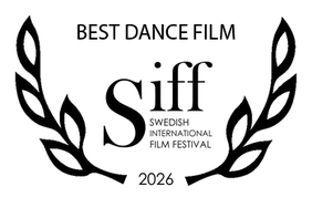 Swedish International Film Festival